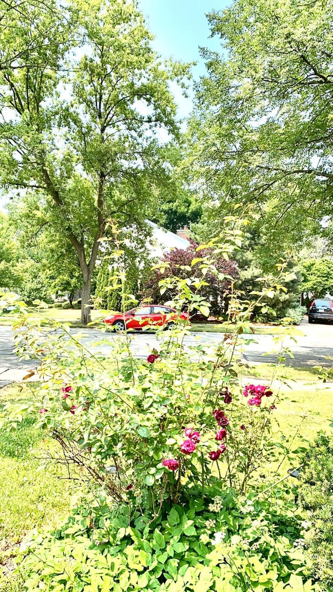 B3 A Private Room In Naperville Downtown With Desk And Wi-Fi Near Everything Exterior photo